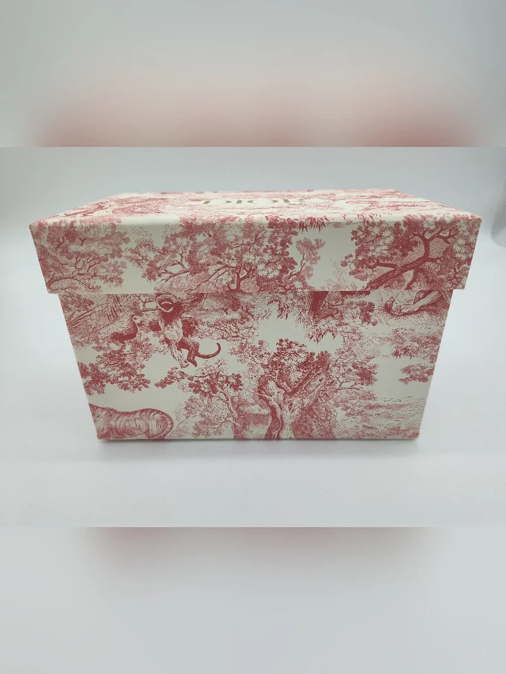 DIOR Toile Jungle Gift Box Tissue Paper Ribbon Set Pink Cream Gold Packaging EUC